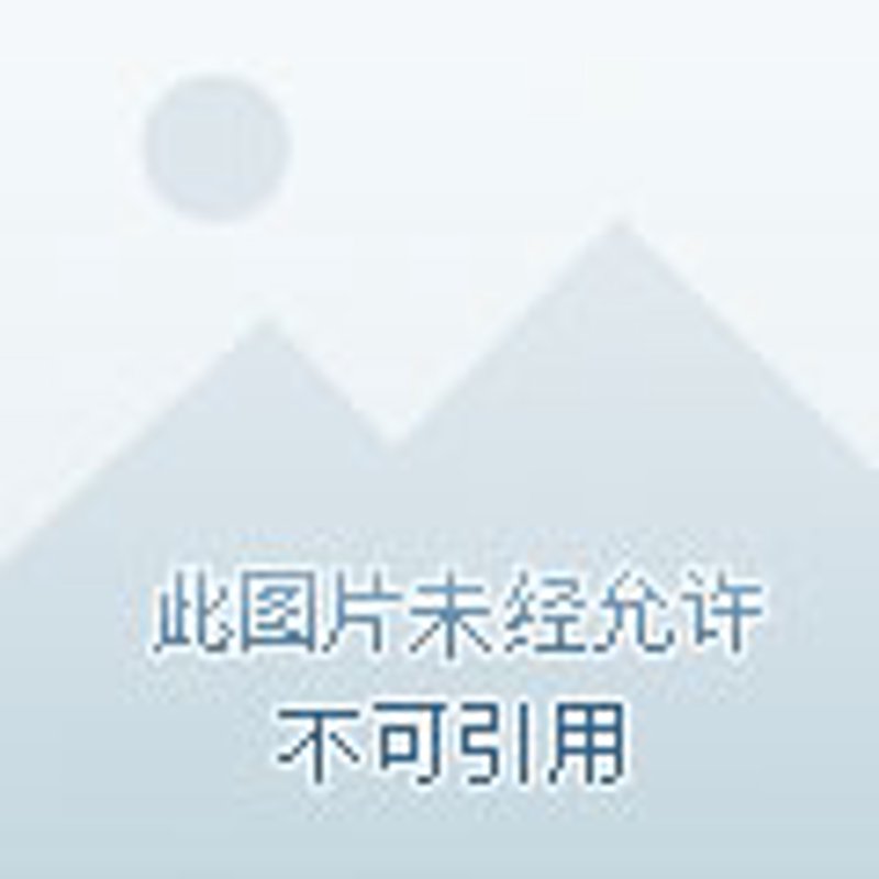 ezwear官网引领时尚潮流
